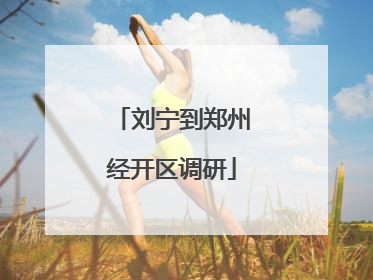 刘宁到郑州经开区调研