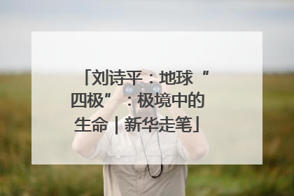 刘诗平：地球“四极”：极境中的生命｜新华走笔