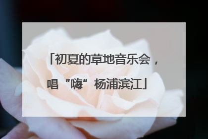 初夏的草地音乐会，唱“嗨”杨浦滨江