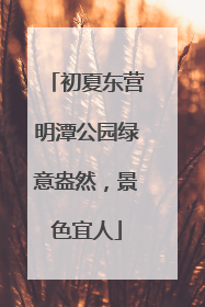 初夏东营明潭公园绿意盎然，景色宜人