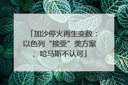 加沙停火再生变数：以色列“接受”美方案、哈马斯不认可