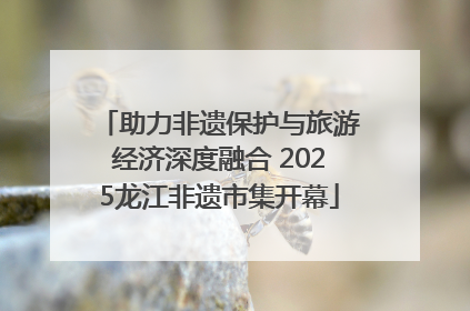助力非遗保护与旅游经济深度融合 2025龙江非遗市集开幕