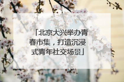北京大兴举办青春市集，打造沉浸式青年社交场景