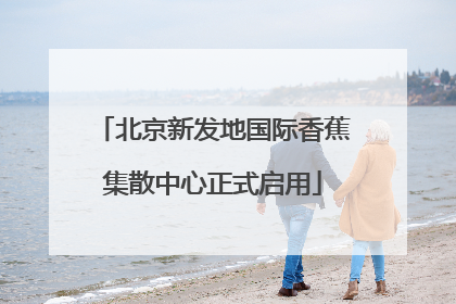 北京新发地国际香蕉集散中心正式启用