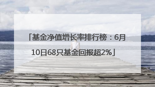 基金净值增长率排行榜：6月10日68只基金回报超2%