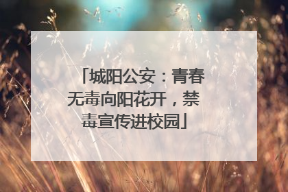 城阳公安：青春无毒向阳花开，禁毒宣传进校园