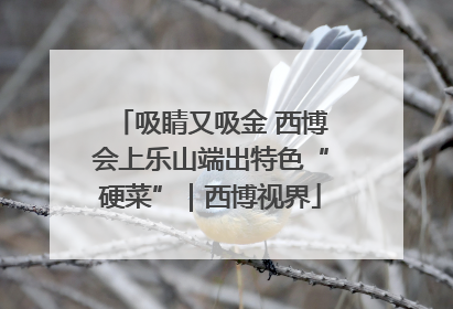 吸睛又吸金 西博会上乐山端出特色“硬菜”｜西博视界