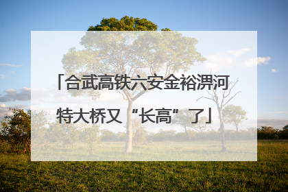 合武高铁六安金裕淠河特大桥又“长高”了