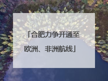 合肥力争开通至欧洲、非洲航线