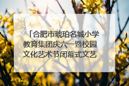 合肥市琥珀名城小学教育集团庆六一暨校园文化艺术节闭幕式文艺汇演圆满举行