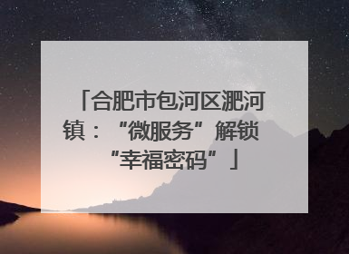 合肥市包河区淝河镇：“微服务”解锁“幸福密码”