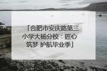 合肥市安庆路第三小学大杨分校：匠心筑梦 护航毕业季