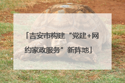 吉安市构建“党建+网约家政服务”新阵地