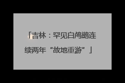 吉林：罕见白鸬鹚连续两年“故地重游”
