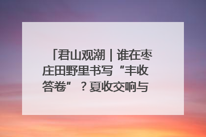 君山观潮｜谁在枣庄田野里书写“丰收答卷”？夏收交响与特色产业，共绘乡村振兴新图景