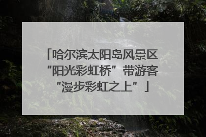 哈尔滨太阳岛风景区“阳光彩虹桥”带游客“漫步彩虹之上”