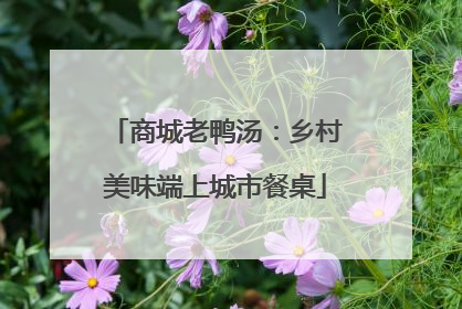 商城老鸭汤：乡村美味端上城市餐桌