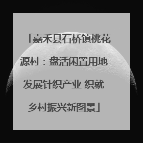 嘉禾县石桥镇桃花源村：盘活闲置用地发展针织产业 织就乡村振兴新图景