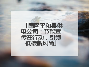 国网平和县供电公司：节能宣传在行动，引领低碳新风尚