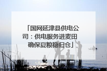 国网延津县供电公司：供电服务进麦田 确保夏粮稳归仓