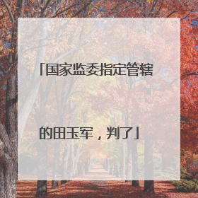 国家监委指定管辖的田玉军，判了