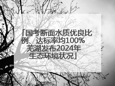 国考断面水质优良比例、达标率均100% 芜湖发布2024年生态环境状况