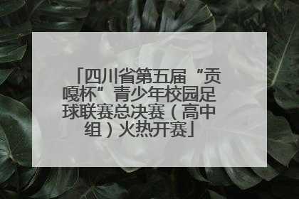 四川省第五届“贡嘎杯”青少年校园足球联赛总决赛（高中组）火热开赛