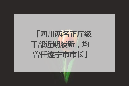 四川两名正厅级干部近期履新，均曾任遂宁市市长