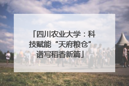 四川农业大学：科技赋能“天府粮仓”谱写稻香新篇
