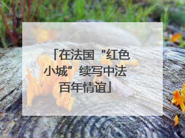在法国“红色小城”续写中法百年情谊