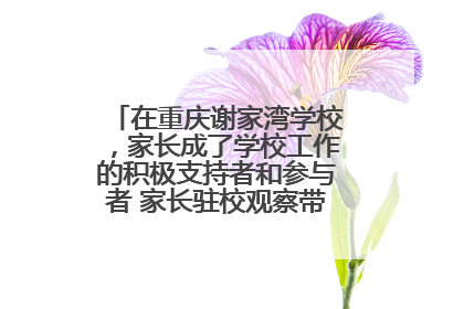 在重庆谢家湾学校，家长成了学校工作的积极支持者和参与者 家长驻校观察带来可喜变化