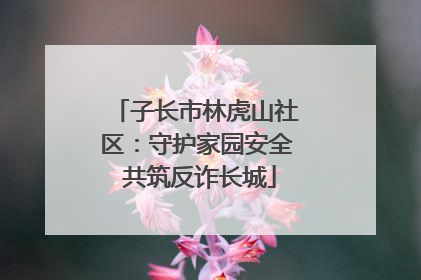 子长市林虎山社区：守护家园安全 共筑反诈长城
