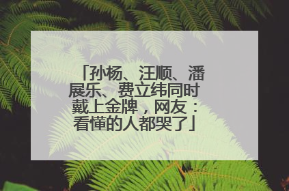 孙杨、汪顺、潘展乐、费立纬同时戴上金牌，网友：看懂的人都哭了