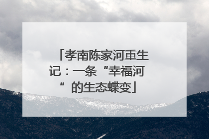 孝南陈家河重生记：一条“幸福河”的生态蝶变