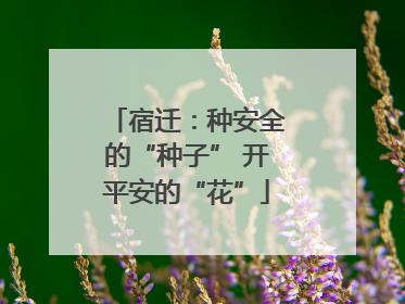 宿迁：种安全的“种子” 开平安的“花”