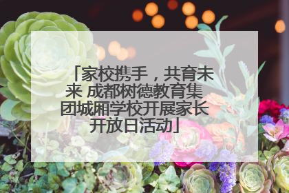 家校携手，共育未来 成都树德教育集团城厢学校开展家长开放日活动