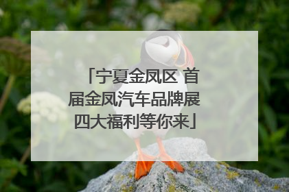 宁夏金凤区 首届金凤汽车品牌展四大福利等你来