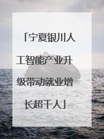 宁夏银川人工智能产业升级带动就业增长超千人