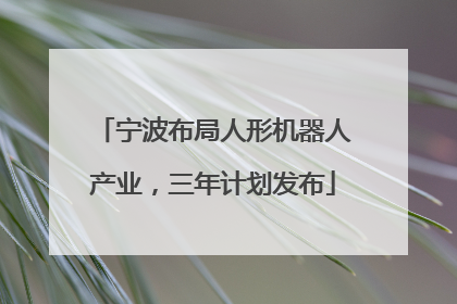 宁波布局人形机器人产业，三年计划发布