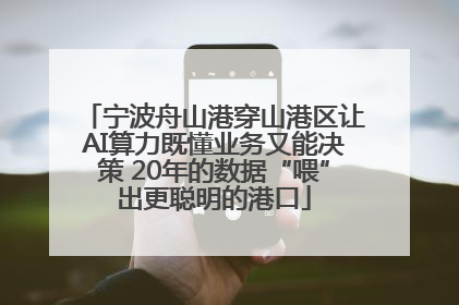 宁波舟山港穿山港区让AI算力既懂业务又能决策 20年的数据“喂”出更聪明的港口