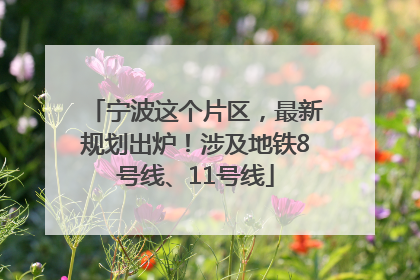宁波这个片区，最新规划出炉！涉及地铁8号线、11号线