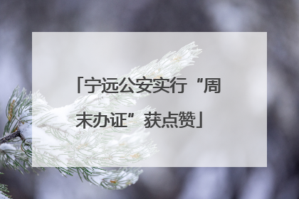 宁远公安实行“周末办证”获点赞