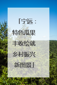 宁远：特色瓜果丰收绘就乡村振兴新图景