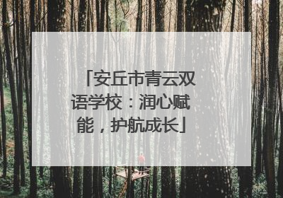 安丘市青云双语学校：润心赋能，护航成长