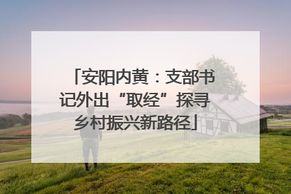 安阳内黄：支部书记外出“取经”探寻乡村振兴新路径