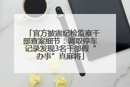 官方披露纪检监察干部查案细节：调取停车记录发现3名干部假“办事”真麻将