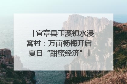 宜章县玉溪镇水浸窝村：万亩杨梅开启夏日“甜蜜经济”
