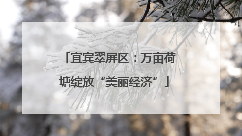 宜宾翠屏区：万亩荷塘绽放“美丽经济”