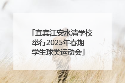 宜宾江安水清学校举行2025年春期学生球类运动会