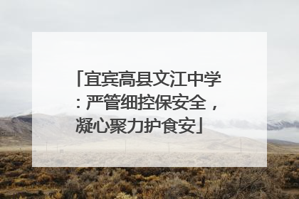 宜宾高县文江中学：严管细控保安全，凝心聚力护食安